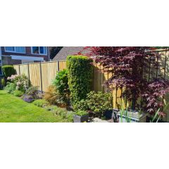 Aanbieding semi luxe hout beton schutting Grenenhout 17MM